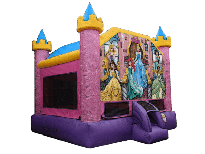Disney Princess Castle